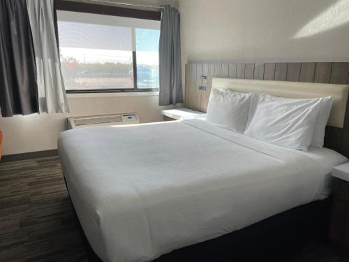 a large white bed in a hotel room with a window at Sisk Hotel in Modesto