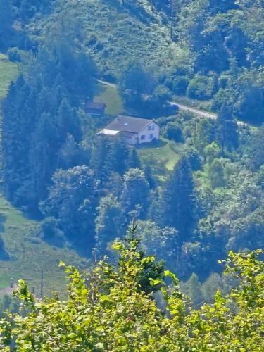 La ferme rose