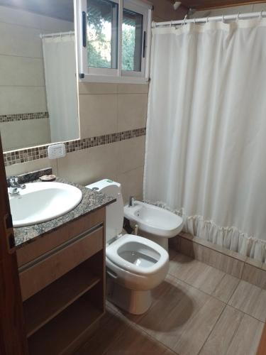 a bathroom with a toilet and a sink and a shower at Apartamento Zorzal in Lago Puelo