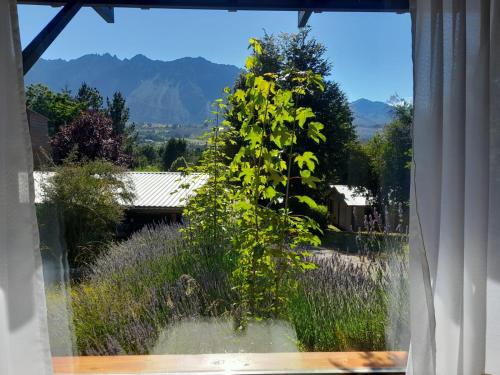 a window with a view of a plant at Apartamento Zorzal in Lago Puelo
