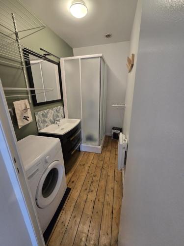 a bathroom with a washing machine and a sink at Appartement cocooning proche de lille in Loos