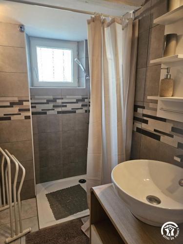 a bathroom with a sink and a shower at Roumanieu le gîte in Saint-Gauzens