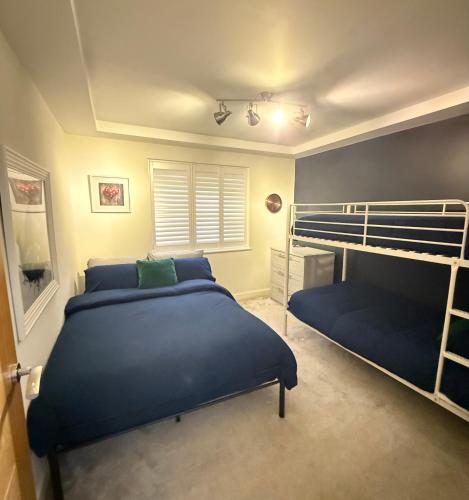 a bedroom with two beds and a bunk bed at Kiwi Pines forest retreat! in Saint Leonards