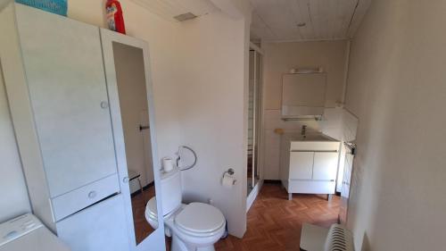 a white bathroom with a toilet and a sink at La castagnal in Jouqueviel
