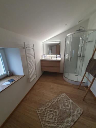 a bathroom with a shower and a mirror at Gite Bergamote in Champenoux