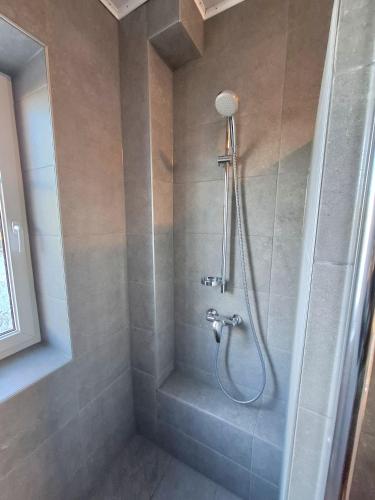 a shower with a glass door in a bathroom at Ferienhaus Raiter Südsteiermark in Weitersfeld an der Mur