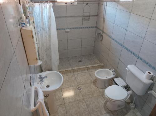 een badkamer met een wastafel, een toilet en een douche bij wind house - casa del viento in Perito Moreno