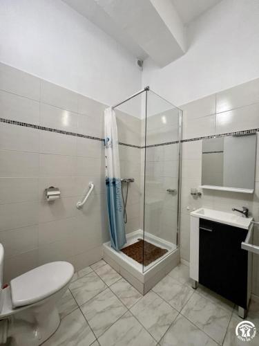 a bathroom with a shower and a toilet and a sink at Chez madou in Roquefort-des-Corbières