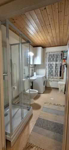 un bagno con doccia in vetro e WC di Willa Stonehill a Iisalmi