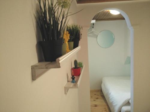 リスボンにあるRosinha 82 Apartmentの植物と鏡が壁に掛けられた部屋