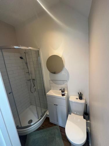 a bathroom with a shower and a toilet and a sink at The idyllic Acorn Lodge in Canterbury