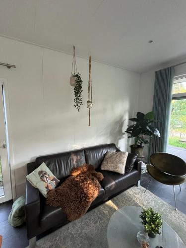 a living room with a leather couch and a glass table at Natuurhuisje Pine & Oak 6 persoons in Hardenberg