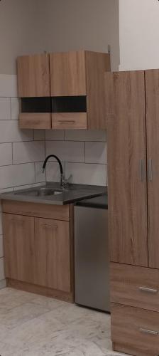 a kitchen with a sink and wooden cabinets at Litsa Fit in Thessaloniki