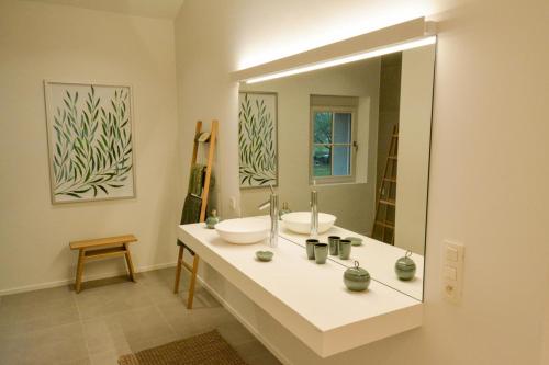 a bathroom with a sink and a large mirror at Le domaine de rigou in Lasbordes