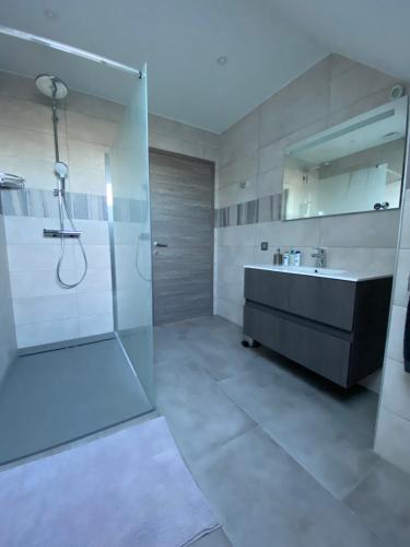 une salle de bains avec douche, lavabo et miroir dans l'établissement Chambres d'hôtes bord de Saône, à Lamarche-sur-Saône