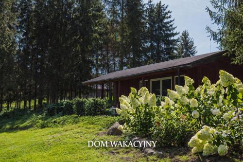 Vườn quanh Domek w Dolinie Drwęcy