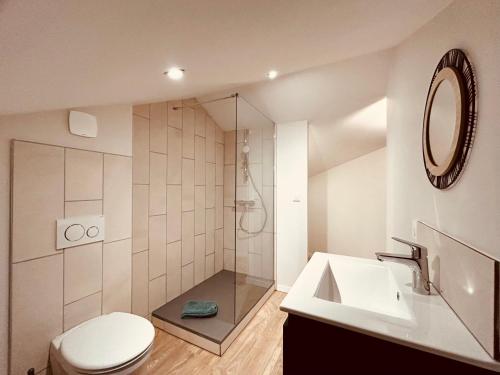 ein Badezimmer mit Dusche, Toilette und Waschbecken in der Unterkunft Comme chez soi - Emplacement #1 et Grand Confort in Feurs
