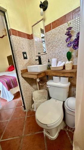 a bathroom with a toilet and a sink at Casona Bartolome in Morelia