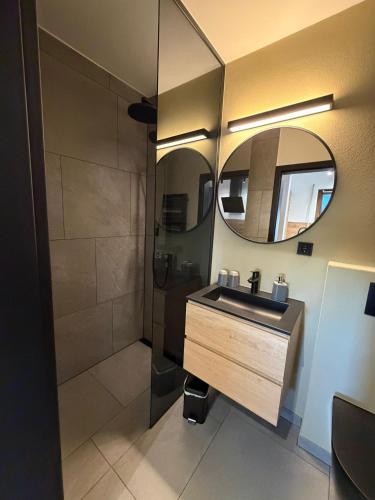 a bathroom with a sink and a shower and a mirror at woidpanorama 3 Appartement in Neuschönau