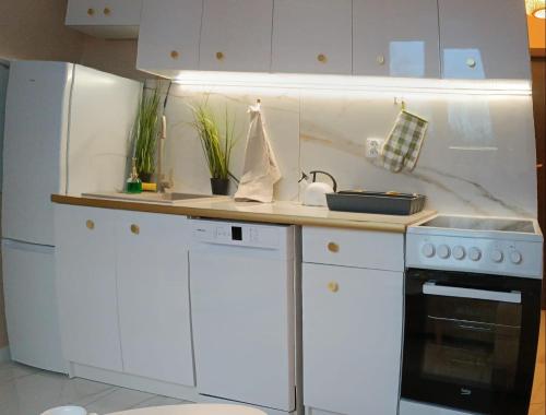 una cucina con mobili bianchi, un lavello e una stufa di Gold apartament a Poznań