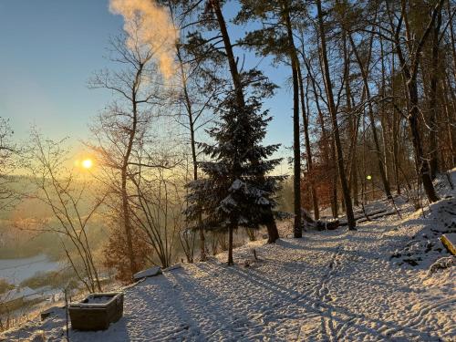 Naturlandskabet i nærheden af chaletet