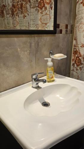 un lavandino bianco con una bottiglia di sapone di Edificio-Pellegrini PA a Bragado