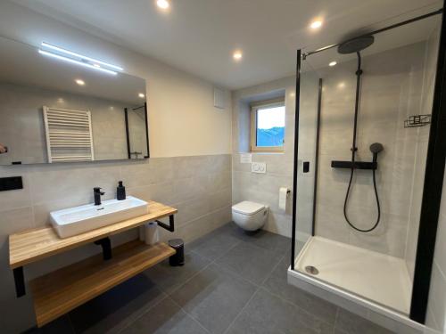 een badkamer met een wastafel en een douche bij Das Detox Almhaus in Pusterwald