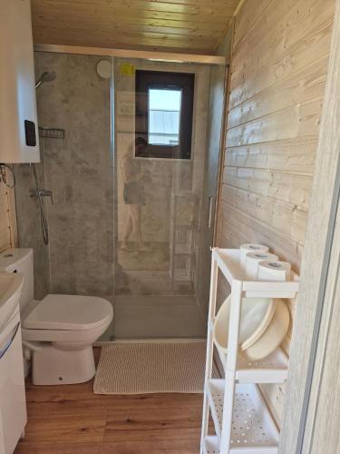 a bathroom with a shower and a toilet at Zakątek Dębki in Dębki