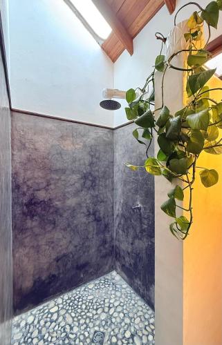 een badkamer met een plant aan het plafond bij Cabañas Sentido Ancestral in Jardin