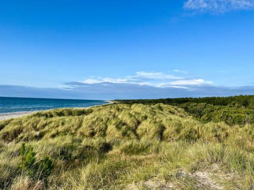 a field of grass next to a beach with the ocean at Summerhouse Close To Nature And Beach in Rørvig