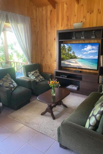 un salon avec des canapés et une télévision à écran plat dans l'établissement Cabañas los Jardines de Lican ray, à Licán Ray
