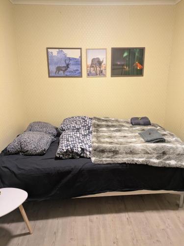 a bed in a bedroom with pictures on the wall at Suovka reindeer & bird lodge in Varangerbotn