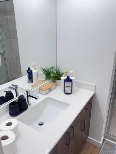 a bathroom with a white sink and a mirror at Cozy 1-Bedroom with Natural lights in Edmonton