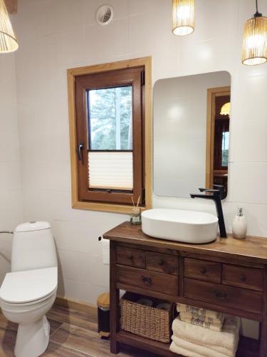 ein Badezimmer mit Waschbecken, Toilette und Spiegel in der Unterkunft Domek Hortensja in Zawady