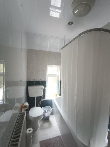 a white bathroom with a toilet and a window at Bayview in Ballysadare