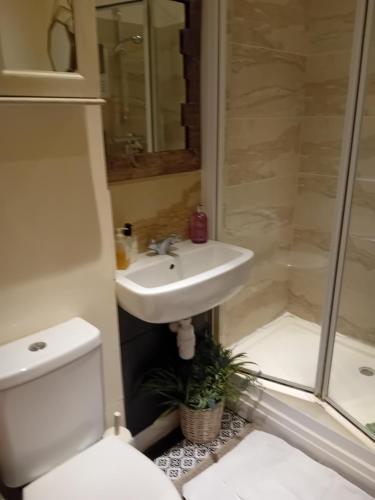 een badkamer met een wastafel, een toilet en een douche bij Owls Roost in Stowmarket