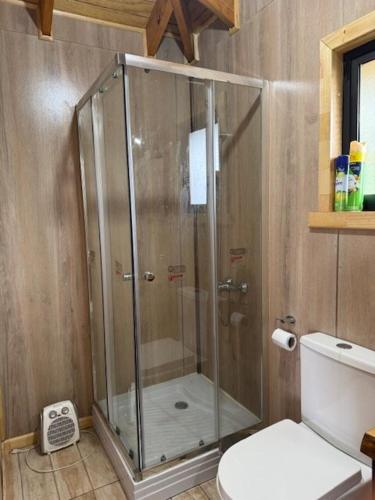 a shower stall in a bathroom with a toilet at Cabaña Lago Ranco in Ranco