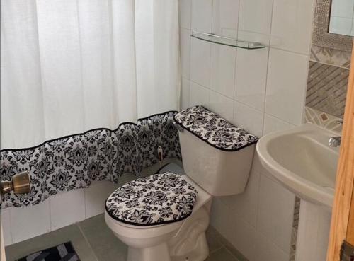 a small bathroom with a toilet and a sink at Cabaña Lago Ranco in Ranco