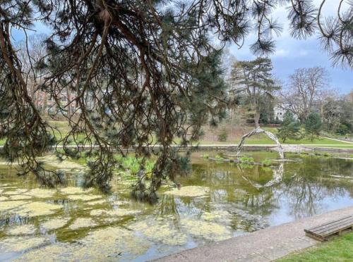 Příroda nedaleko apartmánu