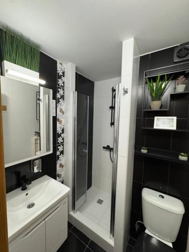 a bathroom with a shower and a toilet and a sink at Konaci Prime Center in Kopaonik