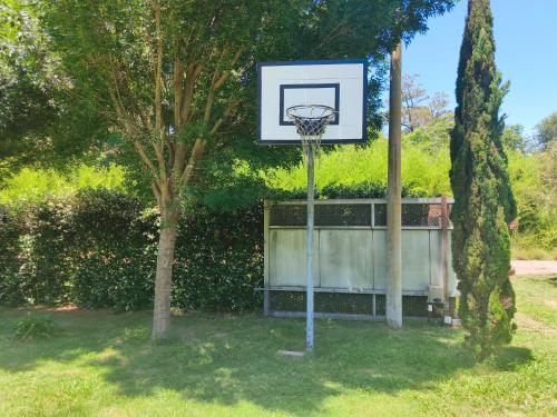 een basketbalring in een park met een boom bij Sol y vida in Venado Tuerto