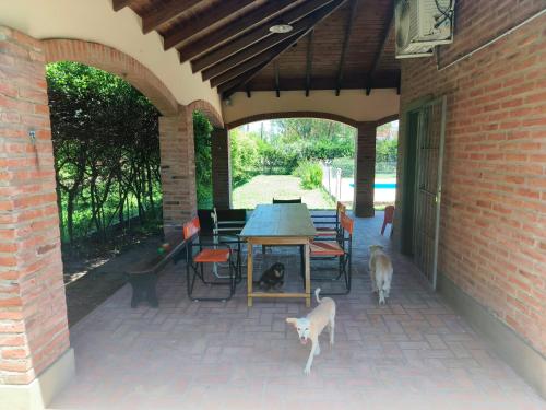 een terras met een tafel en katten die eromheen staan. bij Sol y vida in Venado Tuerto