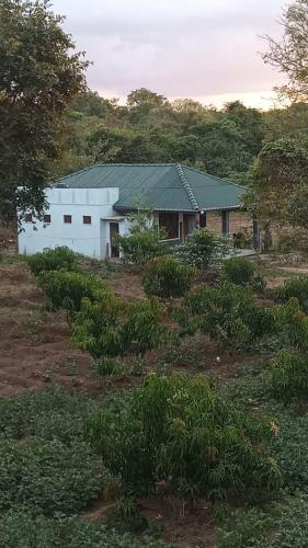 a white building in the middle of a field at Wild Night Hostel Sigiriya in Sigiriya