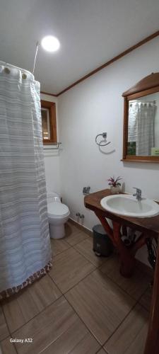a bathroom with a sink and a toilet at Cabañas Los Volcanes Ensenada Puerto Varas in La Ensenada