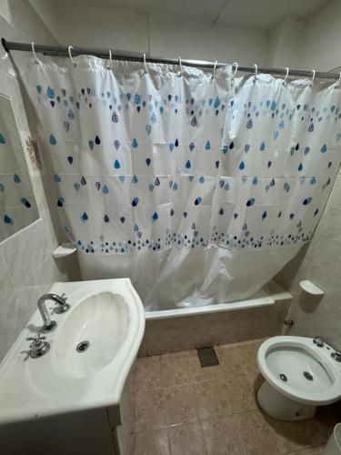 een badkamer met een wastafel, een toilet en een douchegordijn bij Hosteria Ailen in Ushuaia