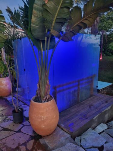 Ein Garten an der Unterkunft Vista Bella HostHouse 1