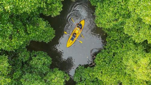 Natuurlandschap vlak bij het hotel