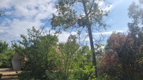 un groupe d'arbres et une maison avec un poteau dans l'établissement Domos munaQ, à San Javier