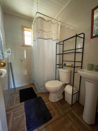 a bathroom with a toilet and a sink at La Comarca in Hornopiren