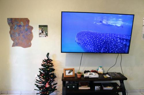 a television hanging on a wall with a christmas tree at Casa de Ciencia, Cultura y Buena Onda in La Paz